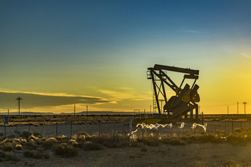 Sunset scene from road with oil machine at outdoor in argentinian patagonia, Santa Cruz province