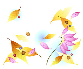 Flower Background_Autumn leaves and berries