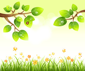 Flower Background_Peaceful forest landscape