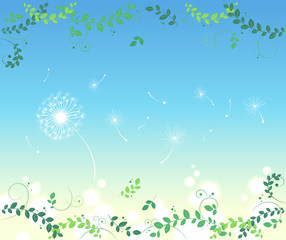 Fototapeta na wymiar Flower Background_Blue sky and dandelion