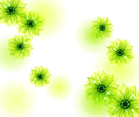 Flower Background_Green flower pattern