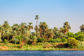 Nile river. Egyptian Nile