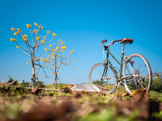 Fototapeta na wymiar Vintage style bicycle with yellow flower trees in garden against the dark blue sky background