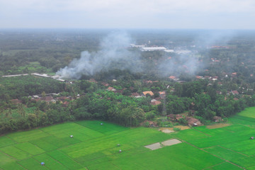 Aerial view of rice fields in tropical country Indonesia