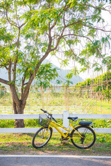 Fototapeta premium ride bicycle travel in garden