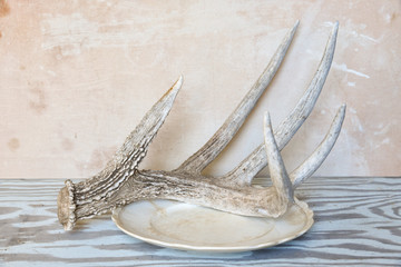 Deer antler shed on a vintage china plate on a rustic woodgrain surface with a distressed canvas...