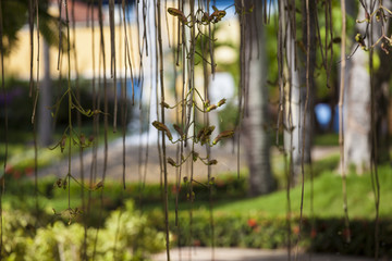 Exotic Landscaping Design