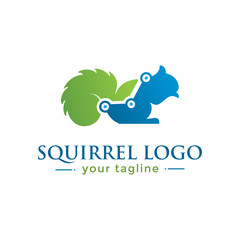 SQUIRREL LOGO. animal logo with finance concept