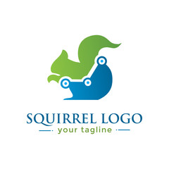 SQUIRREL LOGO. animal logo with finance concept