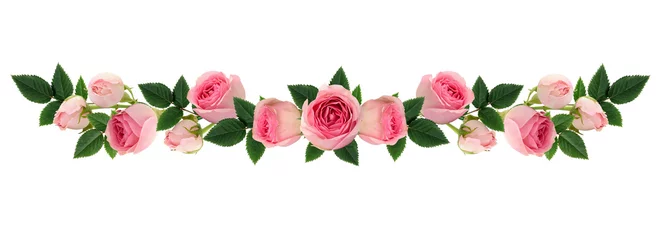 Papier Peint photo Lavable Roses Arrangement de ligne de fleurs et de boutons de roses roses