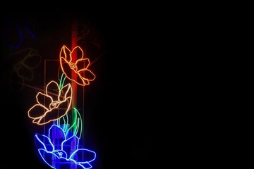 light in shape of a flower in night  beautiful background