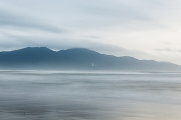 缶詰のやきとり