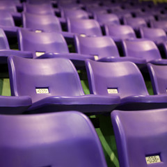 Rows of purple stadium seats with numbers.