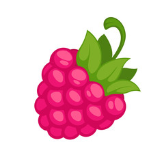 Pink wild raspberry fruit with green stem isolated on white