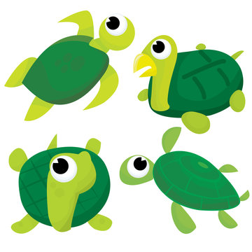 Cartoon Turtle and Tortoise