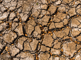 Dry cracked earth the remains of drought stricken pond
