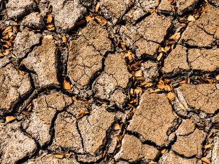 Dry cracked earth the remains of drought stricken pond