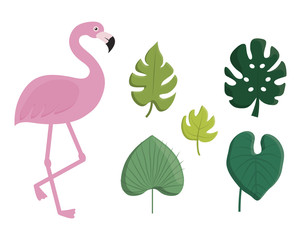 tropical leaves and flamingo icon over white background. colorful design. vector illustration