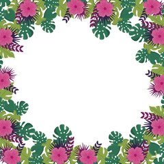 frame with tropical flowers over white background. colorful design. vector illustration