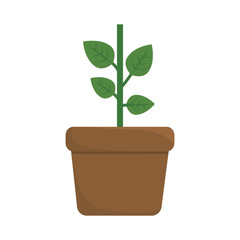 green plant in a pot icon over white background. colorful design. vector illustration