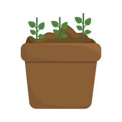 green plant in a pot icon over white background. colorful design. vector illustration
