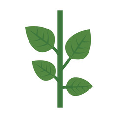 green plant icon over white background. colorful design. vector illustration