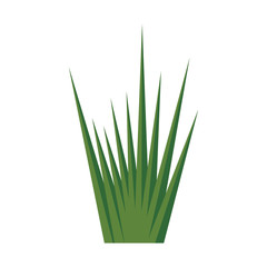 green plant icon over white background. colorful design. vector illustration