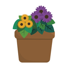 beautiful flowers in a pot icon over white background. colorful design. vector illustrator