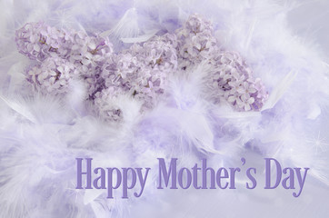 A soft, pastel background with a border of lilacs and feathers on a purple wood surface