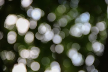 Fototapeta premium Bokeh abstract beautiful nature warm background with copy space.