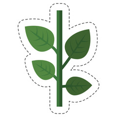 green plant icon over white background. colorful design. vector illustration