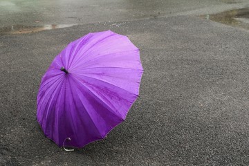 umbrella purple on road and rain drop with copy space for add text