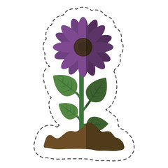 beautiful flowers icon over white background. colorful design. vector illustration