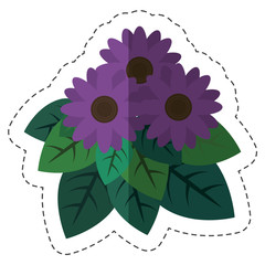 beautiful flowers icon over white background. colorful design. vector illustration