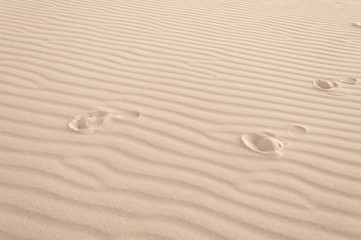 Fototapeta na wymiar Footprints in the sand. White sand dune. Mui Ne. Vietnam