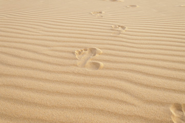 Footprints in the sand. White sand dunes. Mui Ne. Vietnam