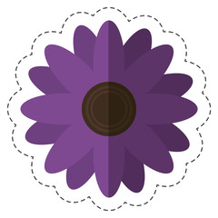 beautiful flowers icon over white background. colorful design. vector illustration