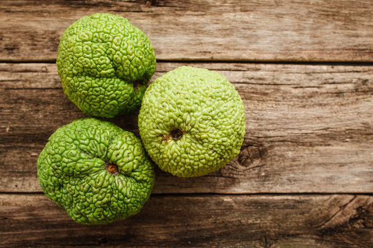 Several Adam's apples on wood flat lay. Top view on old grungy wooden background with three green osage oranges, free space for text. Exotic, gourmet concept