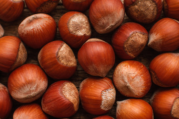 Hazelnut Nut Health Organic Brown Filbert Autumn Background Concept