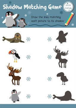 Shadow matching game of arctic animals for preschool kids activity worksheet layout in A4 colorful printable version. Vector Illustration.