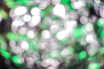 Obraz premium oval green and pink bokeh for background