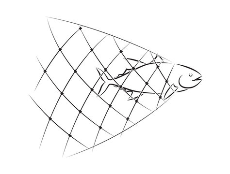 graphic net fishing, vector