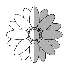 beautiful flower icon over white background. vector illustration