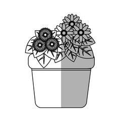 beautiful flowers in a pot icon over whtie background. vector illustration