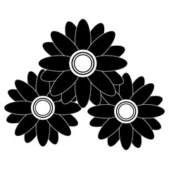 beautiful flowers icon over white background. vector illustration
