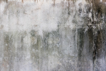 Old  plaster on the wall.