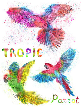 Watercolor set with colorful tropic parrots with brush drops on white