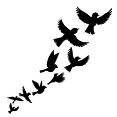 vector flying birds silhouettes