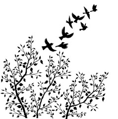 vector flying birds silhouettes and tree foliage