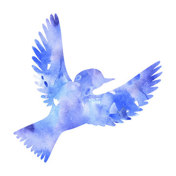 watercolor flying bird silhouette